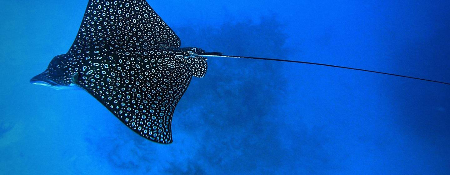 Belize