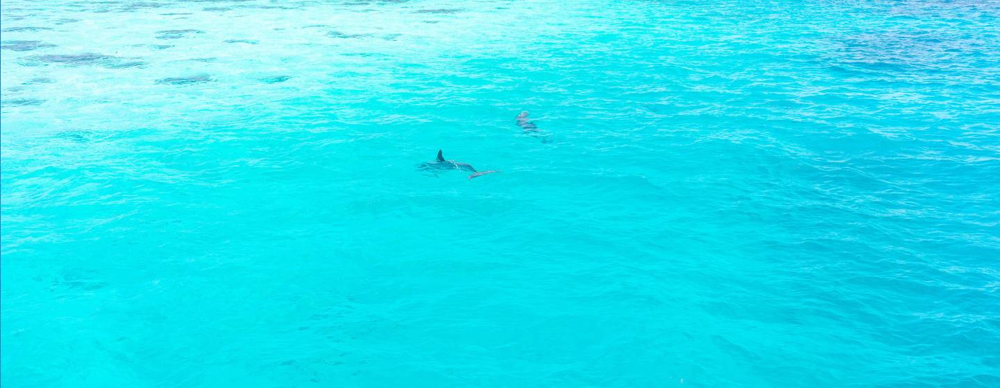 Belize