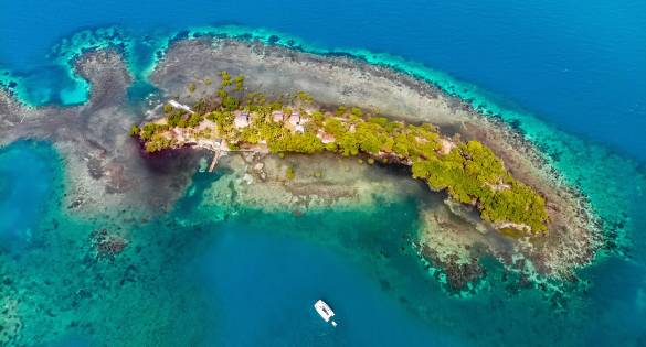 Destinations for Wildlife Sailing Holidays
