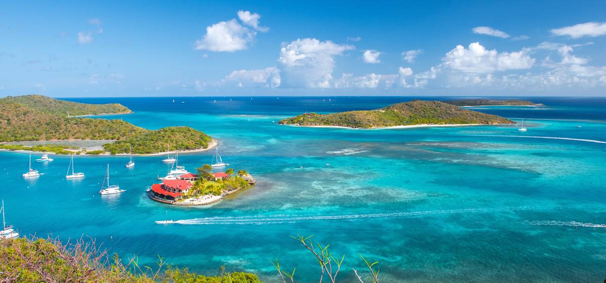 bvi