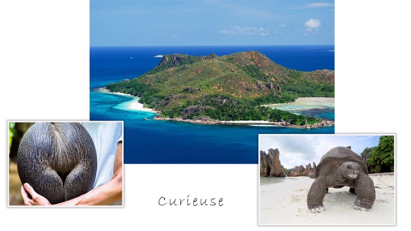 Exploring the Seychelles by Water
