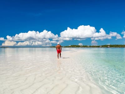 glb_ss_abacos_blog_2400x1250_0122_mainimage