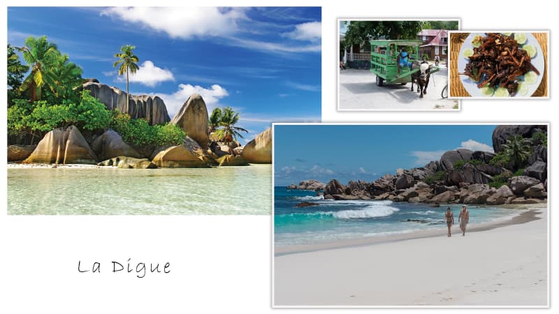 la digue