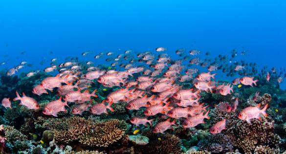 Seychelles_007-1