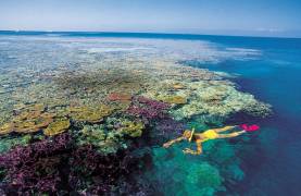 snorkelling-whitsundays-1
