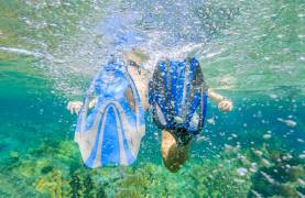 ss_best_diving_hero