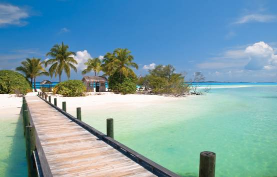 Abacos