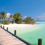Abacos