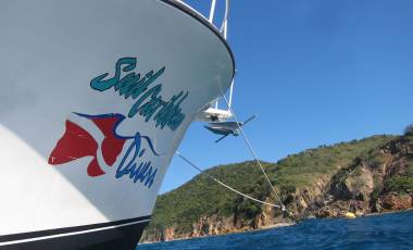 ss_us_1780_0418_blog-best-diving-in-the-caribbean_16x9_4_4