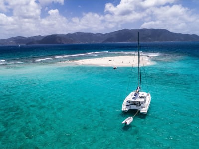 Travel Insurance Options