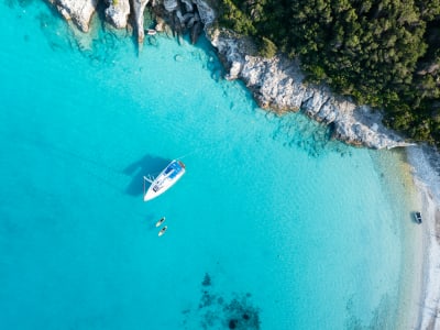Travel Insurance Options