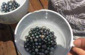 tahiti-black-pearls-copyright-rcribb1-flickr-2400x1350-web-1