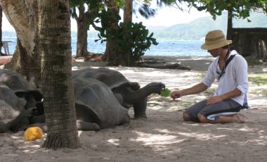 Wildlife and adventure sailing holidays